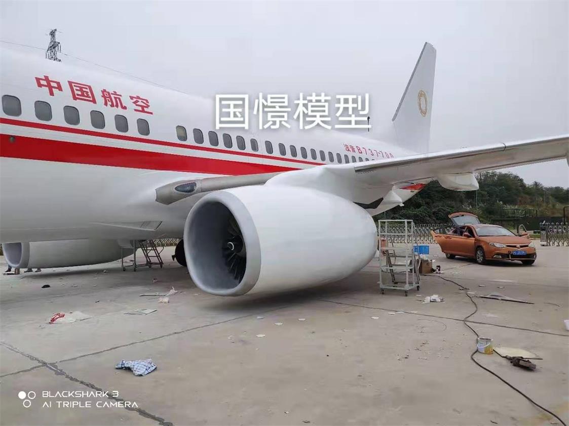 河东区飞机模型